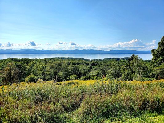 Shelburne Farms by null
