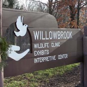 DuPage Wildlife Conservation Center - Willowbrook's old sign at front of building. - Zoos Near Me - Glen Ellyn, Illinois DuPage Wildlife Conservation Center - Willowbrook's old sign at front of building. - Zoos Near Me - Glen Ellyn, Illinois