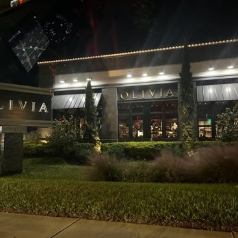 OLIVIA - Outside - Italian Near Me - Tampa, Florida OLIVIA - Outside - Italian Near Me - Tampa, Florida