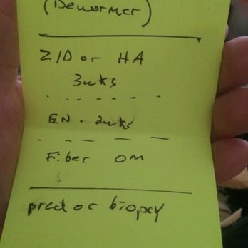 Boulevard Veterinary Hospital - He wrote down in a separate paper for me the steps for my dog treatment - Veterinarians Near Me - Lancaster, California Boulevard Veterinary Hospital - He wrote down in a separate paper for me the steps for my dog treatment - Veterinarians Near Me - Lancaster, California