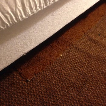 Heritage Inn La Mesa - Carpeting - Hotels Near Me - La Mesa, California Heritage Inn La Mesa - Carpeting - Hotels Near Me - La Mesa, California