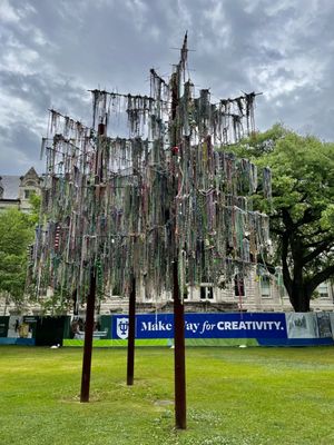 Tulane University by null