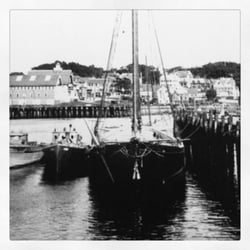 Black Whale Gallery