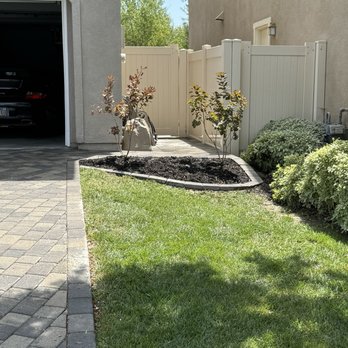 McCabe's Landscape Construction - New planter edging with 2 new bushes - Landscaping Near Me - Murrieta, California McCabe's Landscape Construction - New planter edging with 2 new bushes - Landscaping Near Me - Murrieta, California