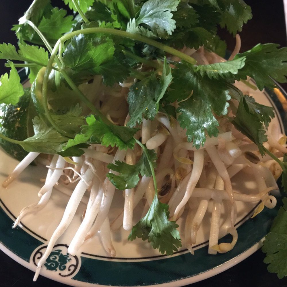 Saigon Blossoms - Fresh and crisp garnish - Vietnamese Near Me - Tucson, Arizona Saigon Blossoms - Fresh and crisp garnish - Vietnamese Near Me - Tucson, Arizona