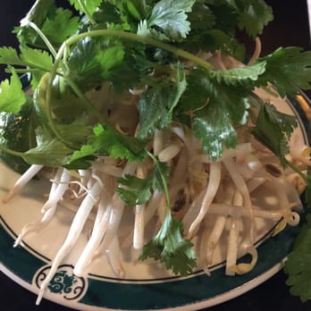 Saigon Blossoms - Fresh and crisp garnish - Vietnamese Near Me - Tucson, Arizona Saigon Blossoms - Fresh and crisp garnish - Vietnamese Near Me - Tucson, Arizona