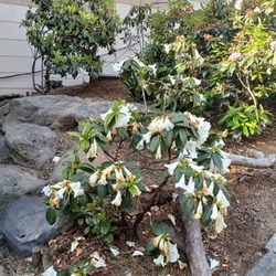 Hyde Vallejo Mini Park