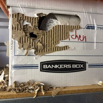 STORE MORE! Self Storage - Rodent Damage Pic 5 - Self Storage Near Me - Santa Rosa, California STORE MORE! Self Storage - Rodent Damage Pic 5 - Self Storage Near Me - Santa Rosa, California