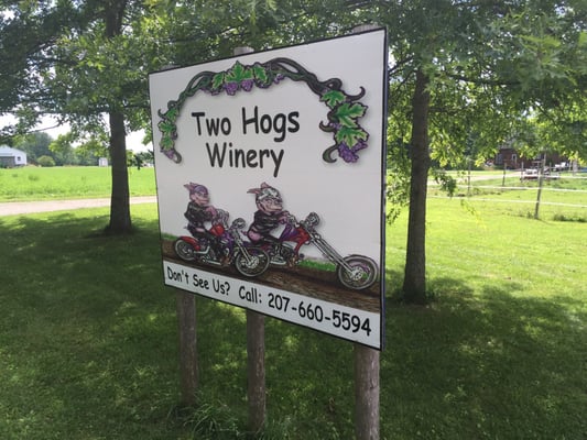 Two Hogs Winery by null
