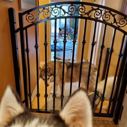 Nicole Welding - View when closed - as you come in the front door. Ears in the foreground are Jujubee's.