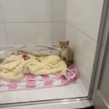 Pet Food Express - Pet Stores Near Me - Pleasanton, California
