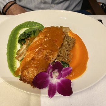 Ocean Hai - Salmon - New American Near Me - Clearwater Beach, Florida Ocean Hai - Salmon - New American Near Me - Clearwater Beach, Florida