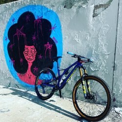 The Local Bikestand - Ready for the ride
