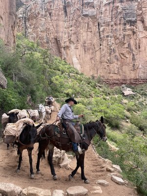 Bright Angel Trailhead by null