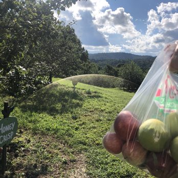 Sky Top Orchard - Orchard - Pick Your Own Farms Near Me - Zirconia, North Carolina