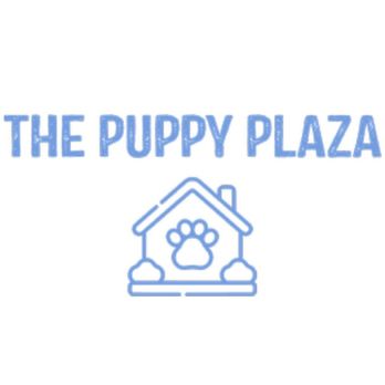 The Puppy Plaza - Pet Groomers Near Me - Ozark, Missouri The Puppy Plaza - Pet Groomers Near Me - Ozark, Missouri