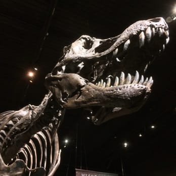 Tellus Science Museum - T-Rex - Museums Near Me - Cartersville, Georgia Tellus Science Museum - T-Rex - Museums Near Me - Cartersville, Georgia
