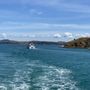 Photo of The Bay