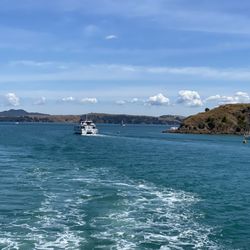 The Bay