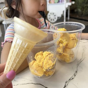 Dreamy Tea - Cone vs cup proportion - Desserts Near Me - Winter Garden, Florida