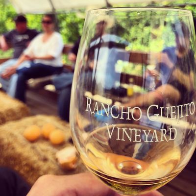 Rancho Guejito Vineyard by null