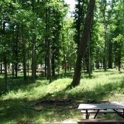View from the porch