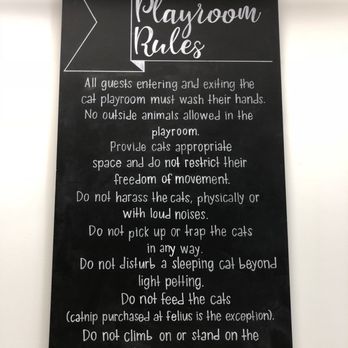 Felius Cat Café & Rescue - Play room rules - Pet Adoption Near Me - Omaha, Nebraska Felius Cat Café & Rescue - Play room rules - Pet Adoption Near Me - Omaha, Nebraska