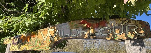 Wild Flour Bread by null