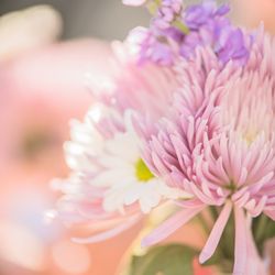 Santa Barbara County Courthouse - Photo Credit | LXN Photography, Lianna Xiaokui Nakashima -- Inquire to Book Your Wedding, Events, Portraits on https://LXNPhotography.com