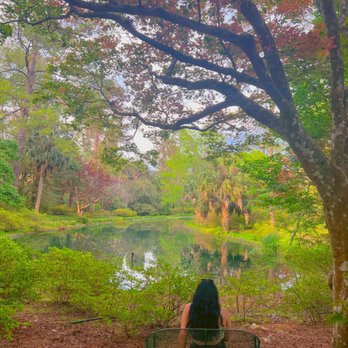 Alfred B  Maclay Gardens State Park - picture perfect - Parks Near Me - Tallahassee, Florida
