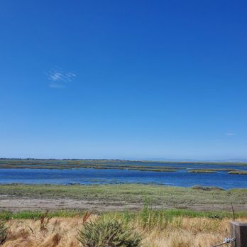 Bair Island - Marshland - Parks Near Me - Redwood City, California