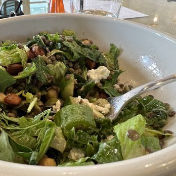 Leven Bakery & Cafe - CRUNCHY FRENCH LENTIL BOWL(D) - Bakeries Near Me - Houston, Texas Leven Bakery & Cafe - CRUNCHY FRENCH LENTIL BOWL(D) - Bakeries Near Me - Houston, Texas