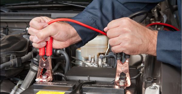 Ufckennels Transportation