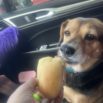 Peña's TX Cafe - She loves her ham and cheese kolache - Donuts Near Me - Houston, Texas Peña's TX Cafe - She loves her ham and cheese kolache - Donuts Near Me - Houston, Texas