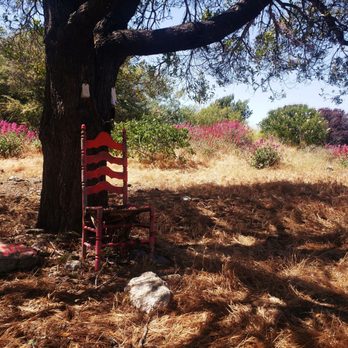 Albany Bulb - Will you sit in the chair? I couldn't stop myself... - Landmarks & Historical Buildings Near Me - Albany, California