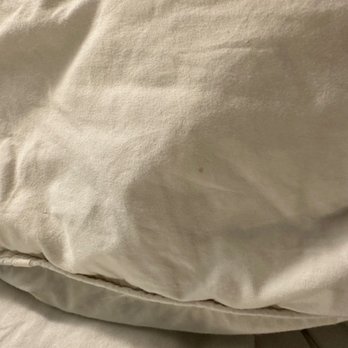 Hampton Inn Jacksonville Beach/Oceanfront - I always check my pillows. Stained pillows! - Hotels Near Me - Jacksonville Beach, Florida Hampton Inn Jacksonville Beach/Oceanfront - I always check my pillows. Stained pillows! - Hotels Near Me - Jacksonville Beach, Florida