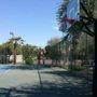 Photo of La Glorieta Basketball, Racquetball and Tennis Court