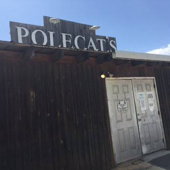 Polecat's