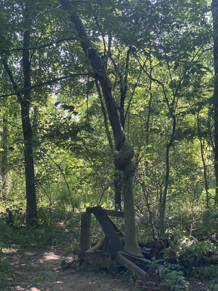 SILVIO O CONTE NATIONAL WILDLIFE REFUGE 28 Photos 69 Moody Bridge