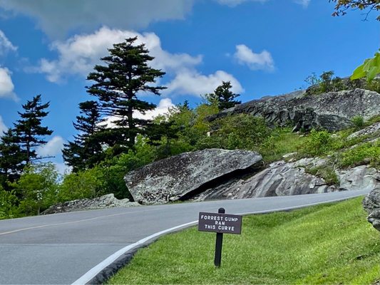 Grandfather Mountain by null