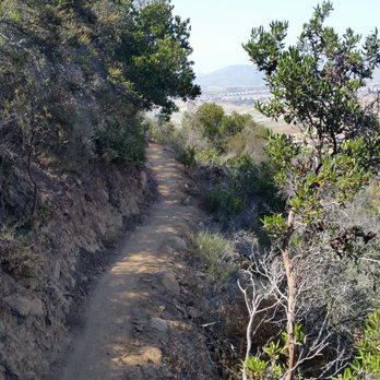 Miner's Ridge Loop Trail - Lilac canyon trail - Hiking Near Me - San Diego, California