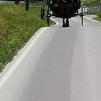 Abe's Buggy Rides - Tours Near Me - Bird In Hand, Pennsylvania Abe's Buggy Rides - Tours Near Me - Bird In Hand, Pennsylvania