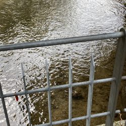 Fischerviertel