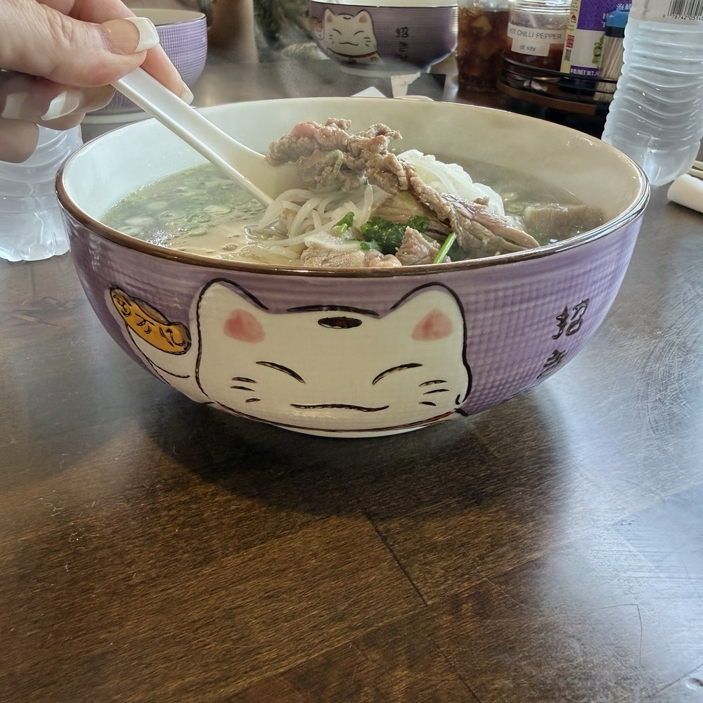 Pho 95 - Combination pho bowl ( chicken, meatball, sliced brisket) - Vietnamese Near Me - Vero Beach, Florida Pho 95 - Combination pho bowl ( chicken, meatball, sliced brisket) - Vietnamese Near Me - Vero Beach, Florida
