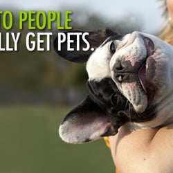 Fetch! Pet Care