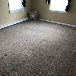 Castor & Son Professional Maintenance - Clean!