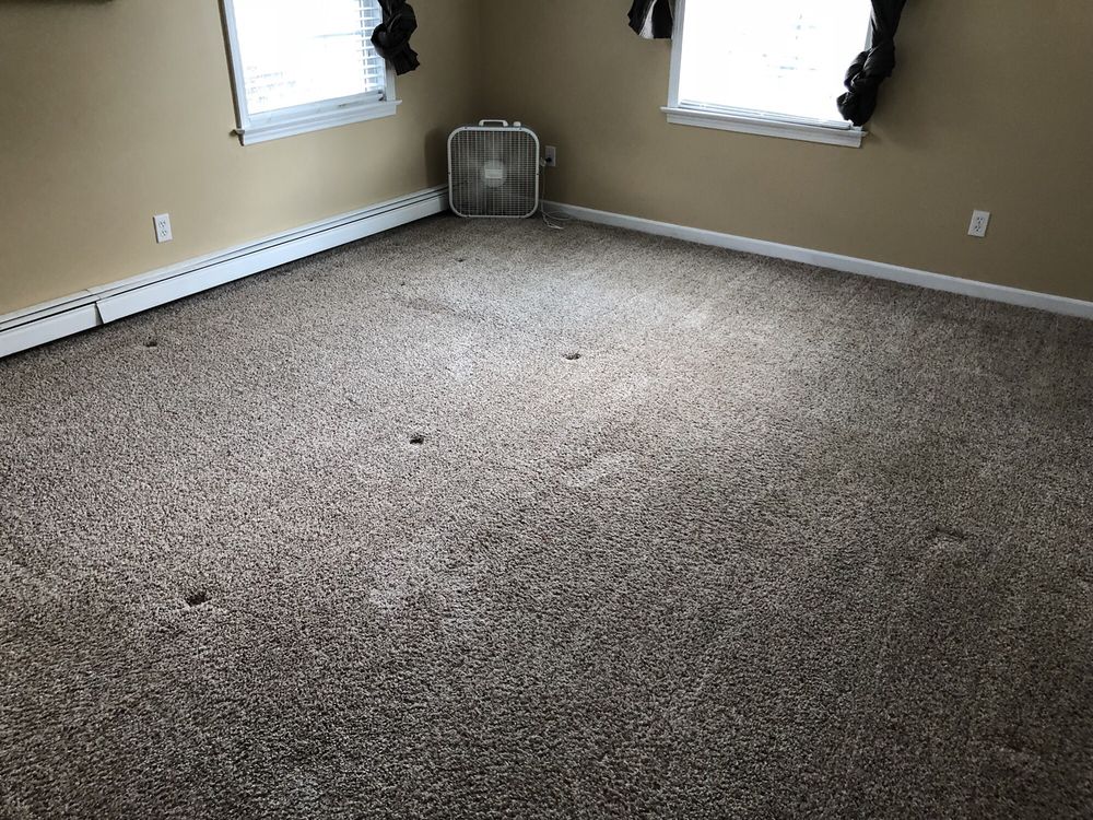 CASTOR & SON PROFESSIONAL MAINTENANCE Updated August 2024 21