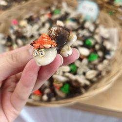 Murdochs - Cute seashell turtle