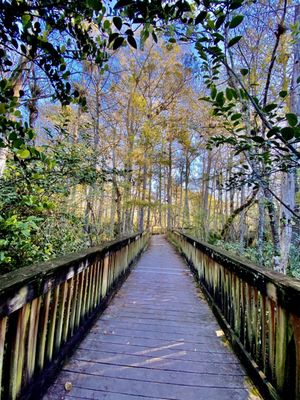 Kirby Storter Roadside Park by null
