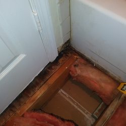 Ebright Engineering - Splashing too much water outside of the bathtub can lead to a hidden mold growth under the tiles, like in this house in Fairfax, V